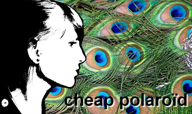 cheap polaroïd