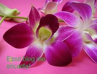 [Orquidea.jpg]