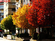 1.-Título:”EL CAMPO Y LA CIUDAD EN OTOÑO”. 2.-Objetivos y contenidos. bandera de otono