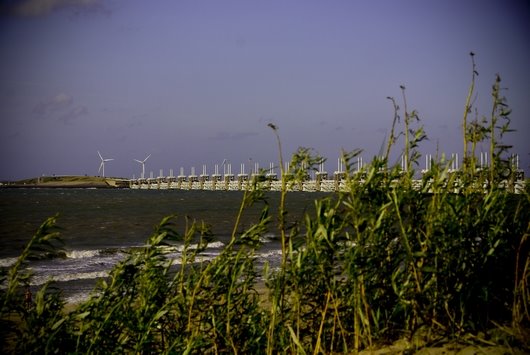 [sized_DSC09142-2.JPG]