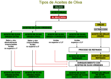 TIPOS DE ACEITE DE OLIVA