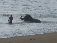 Elephants like the ocean too