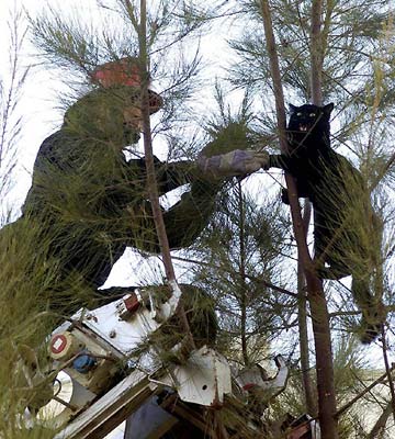 the garden of hope bir kedi miyav dedi minik fare kukredi