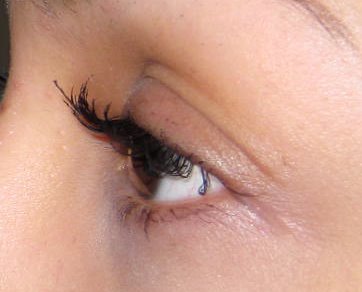 [IMG_3077.JPG]