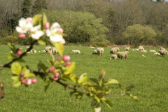 Le site est magnifique, et entouré d’arbres.