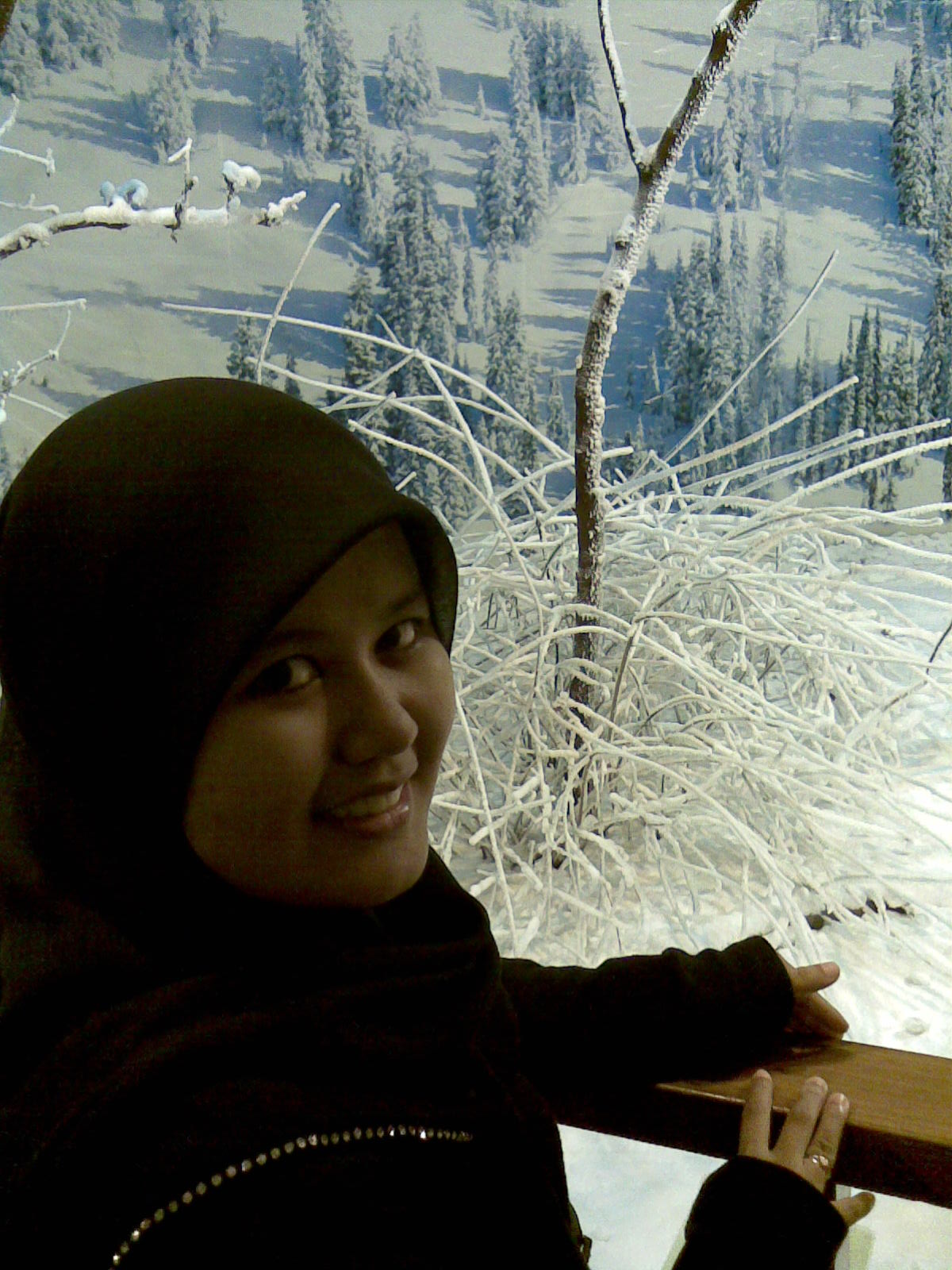 http://2.bp.blogspot.com/__qCZ_P-28tc/TChMEv81Z0I/AAAAAAAAAKU/HV0uIZJVgYY/s1600/29122008(031).jpg