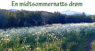 En midtsommernatts drøm En midtsommernatts drøm
