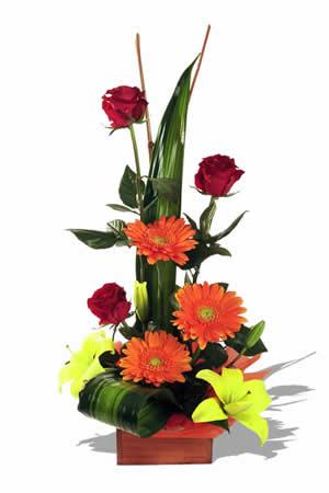 Flower Arrangements on Bondiz Flowershop  Tropical Flower Arrangement