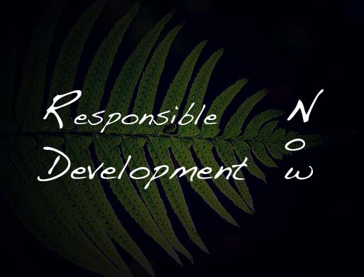 Responsible Development Now Blog
