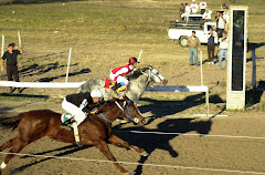 Hipodromo La Ilusión