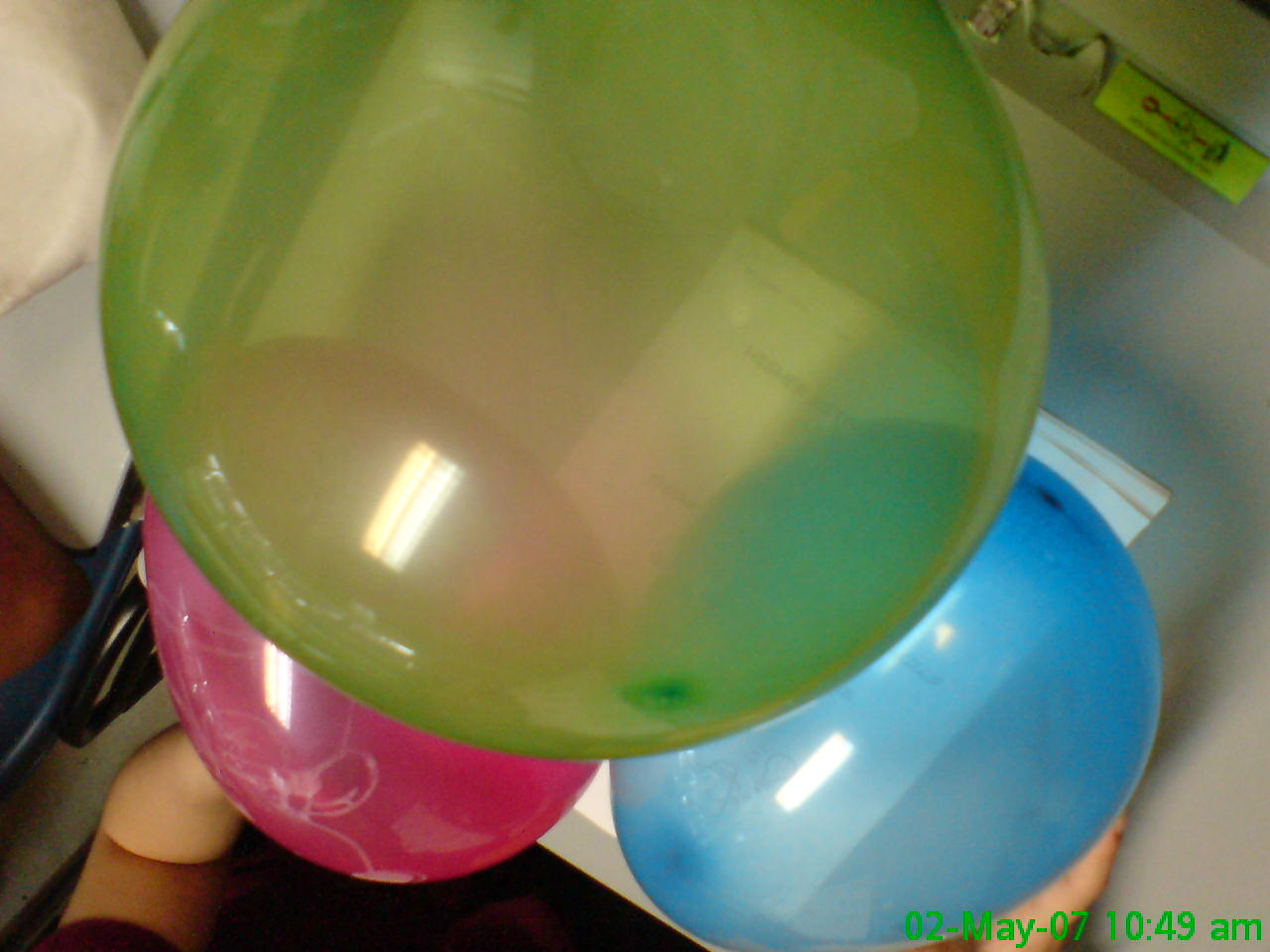 [DSC00366.JPG]