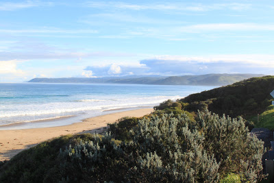 a picture I took on the drive to Port Campbell