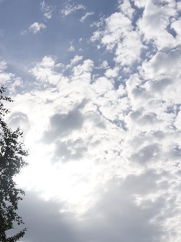Gartenträume mit dem kleinen Graskind