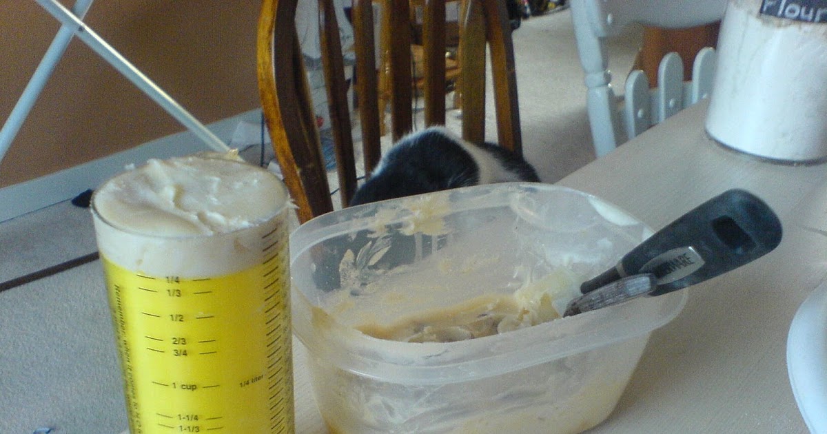 Watch Us Eat! Bacon grease biscuits