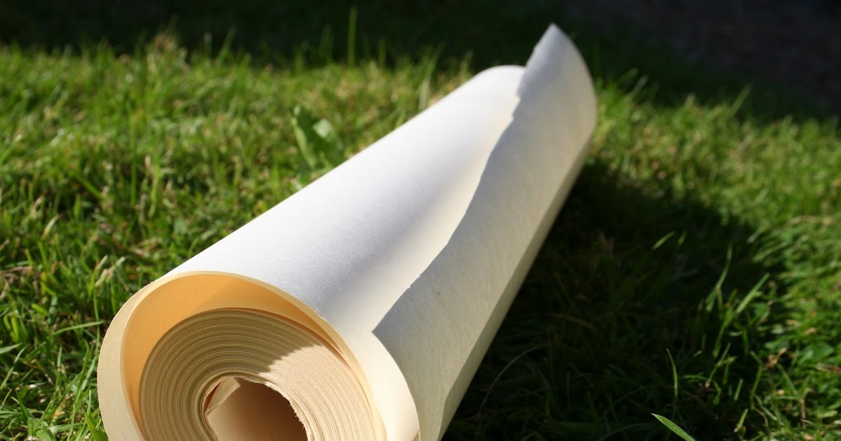 The Daily Tiffin Big rolls of paper art fun