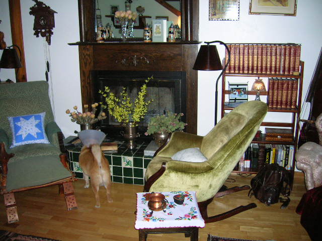 Usra arbor designs manufacturers of beds planted and supplier Topic what do you guys chainsaw,arbor site, head Arborsite