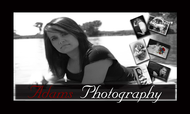 Adams Photography