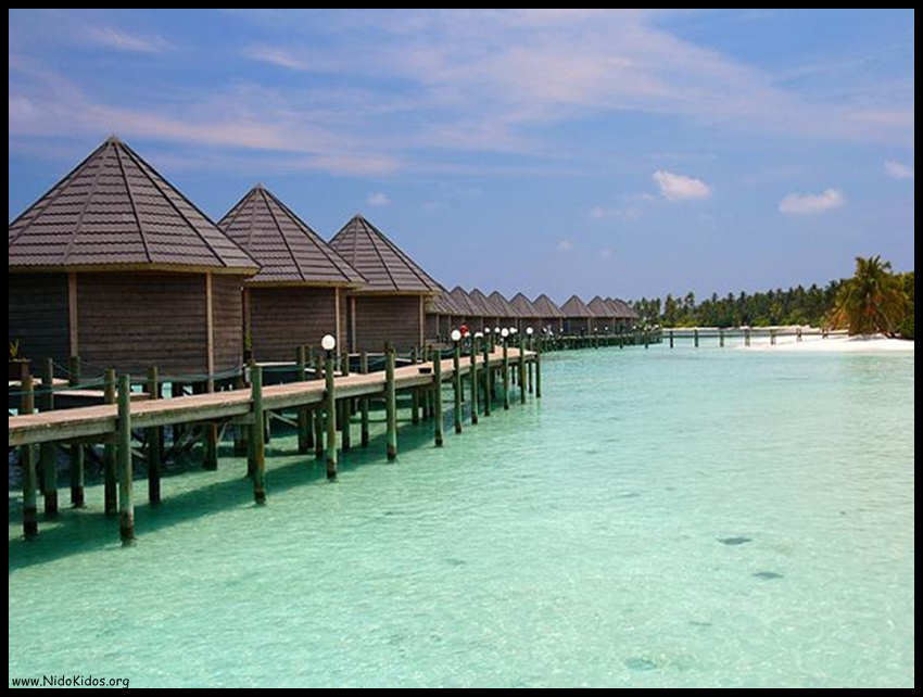 [Les+îles+Maldives+(5).jpg]
