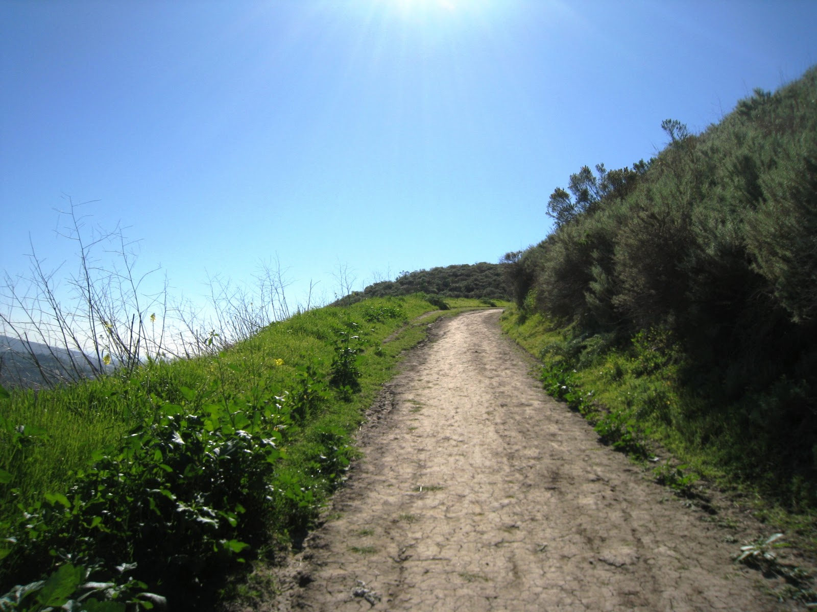 Brian and Ashley's Hiking Blog! Patriot Trail to Flag Hill (San Juan