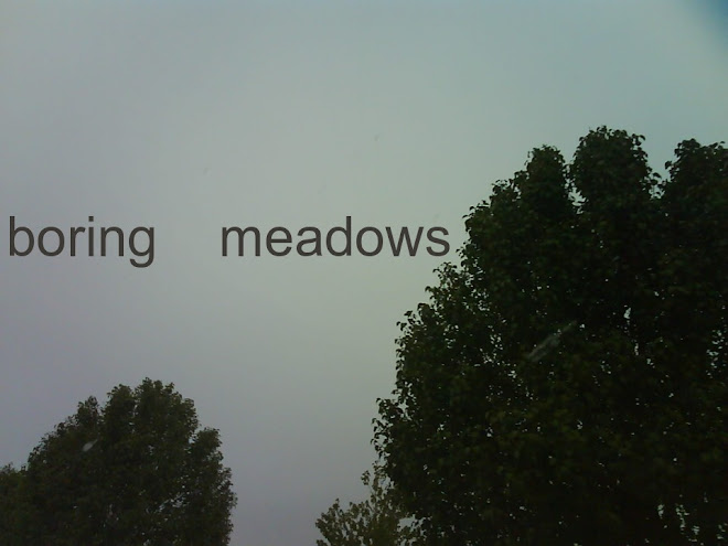 boring meadows