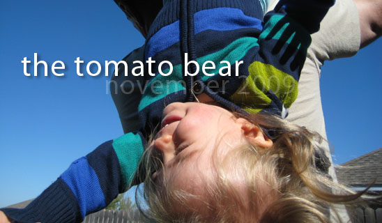 The Tomato Bear