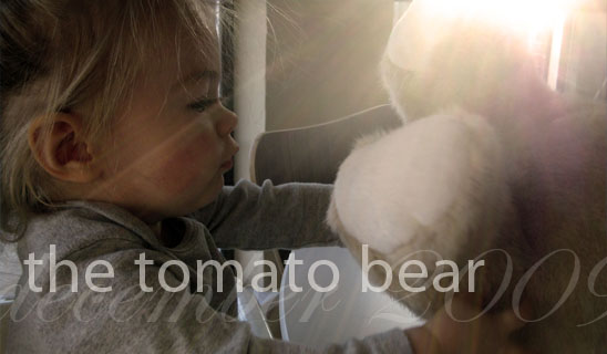 The Tomato Bear