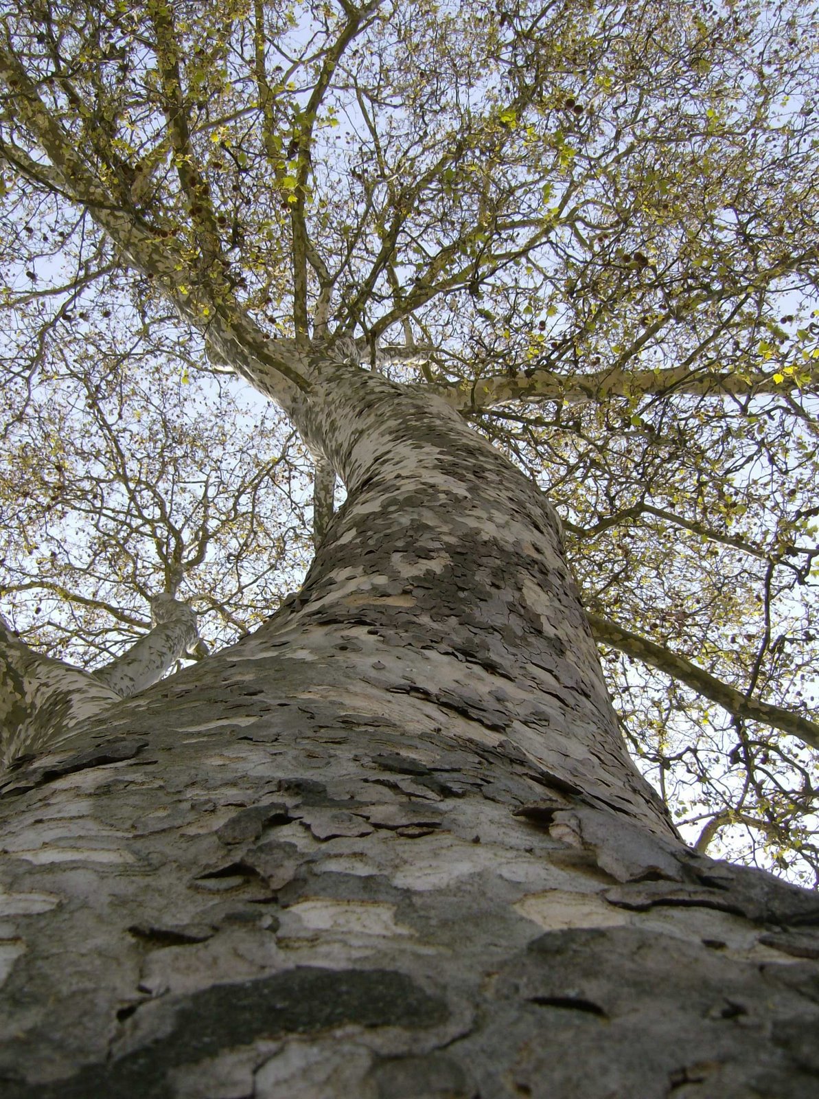[HPIM3829.JPG]