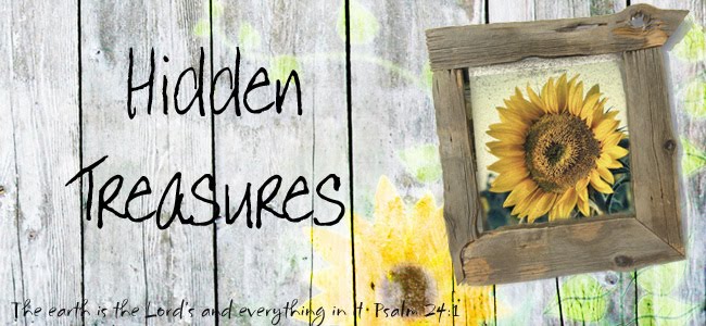 Hidden Treasures