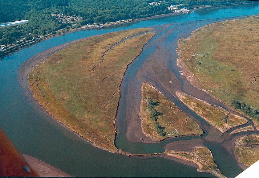 Aqua And Me Tectonically produced estuary.