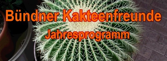 kaktus-gr-jahresprogramm - Jahresprogramm