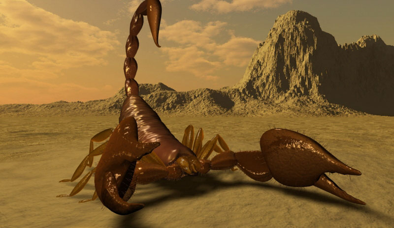 [scorpion.jpg]