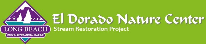 El Dorado Nature Center Stream Restoration Project