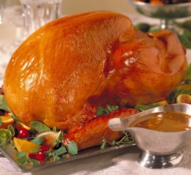 [turkey-dinner.jpg]
