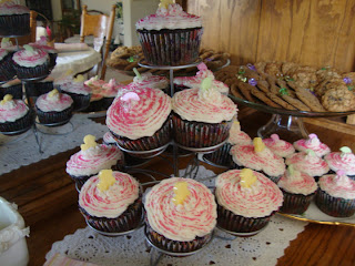 Goldsby Glimpse Baby Shower Bbq