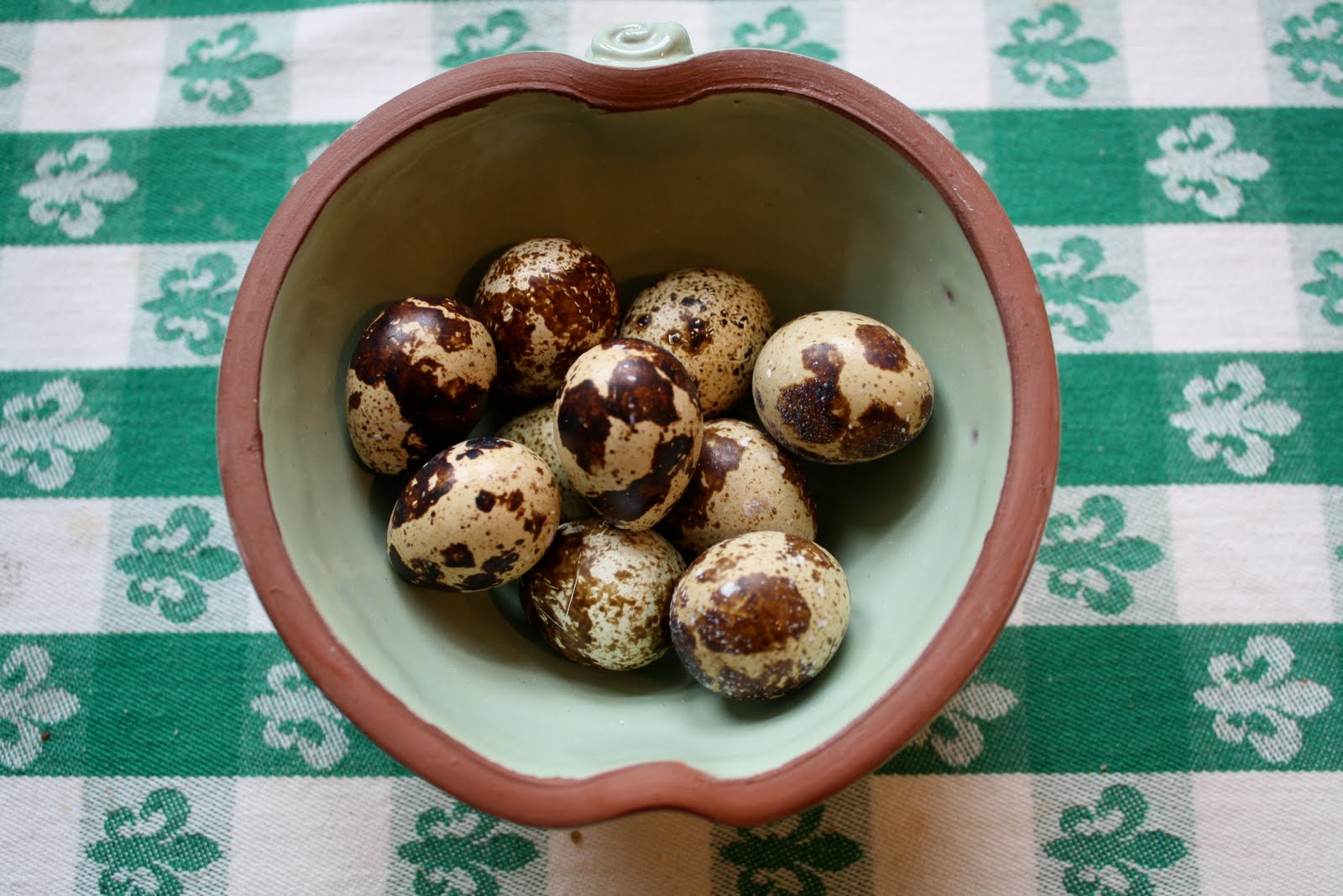 Pearl the Squirrel Two Words Quail Eggs