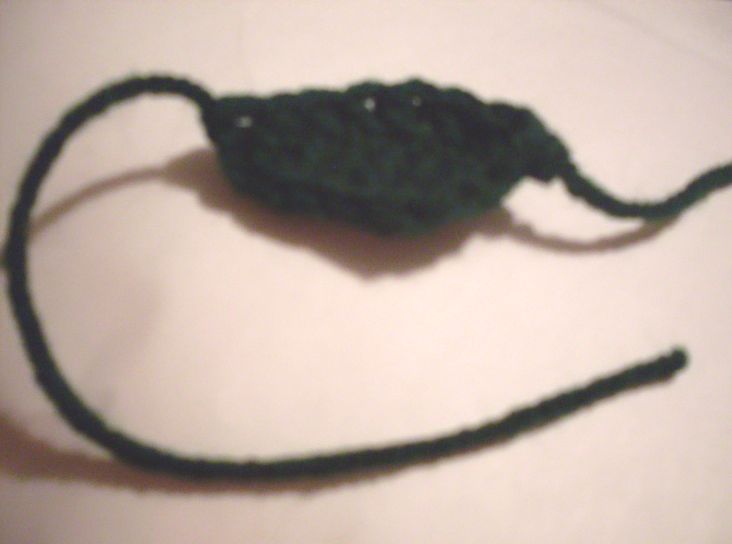[leaf+for+CroMander.JPG]