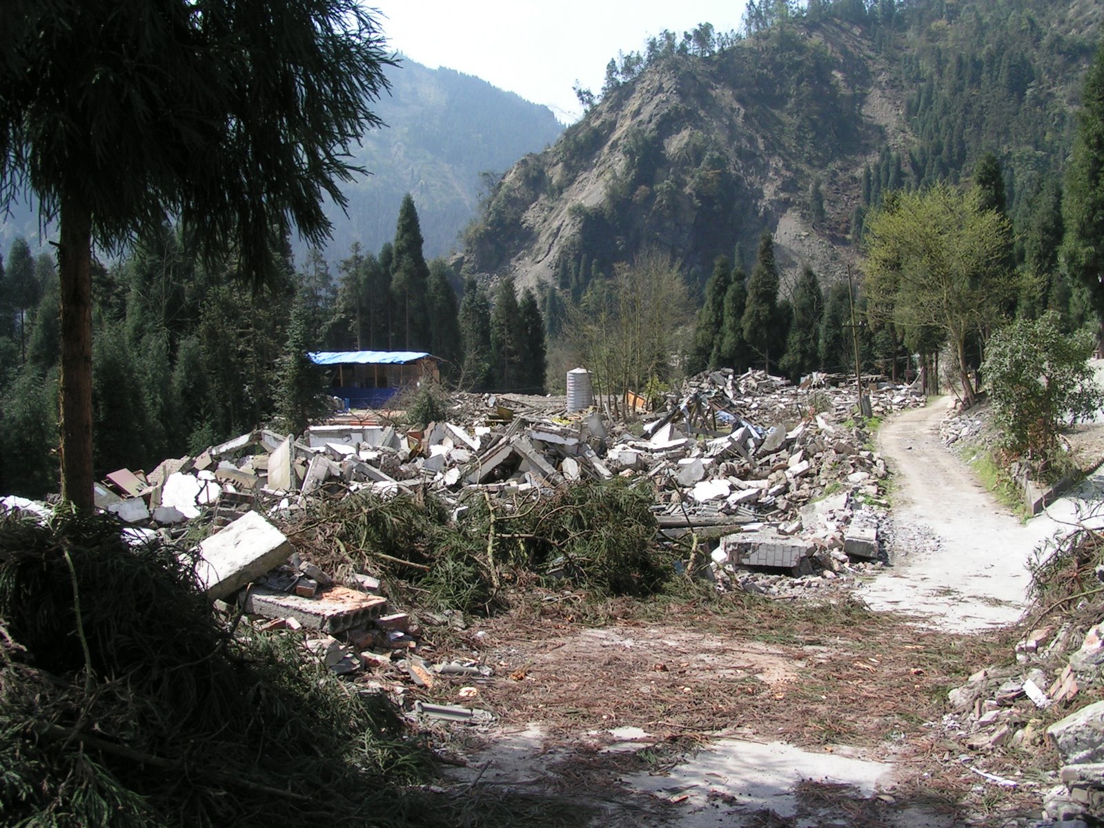 [PICT0148.JPG]