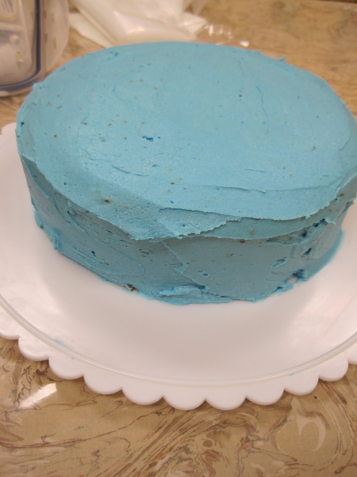 [cake1.jpg]