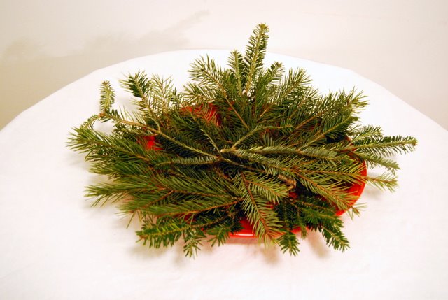 [December+15.2009.041.JPG]