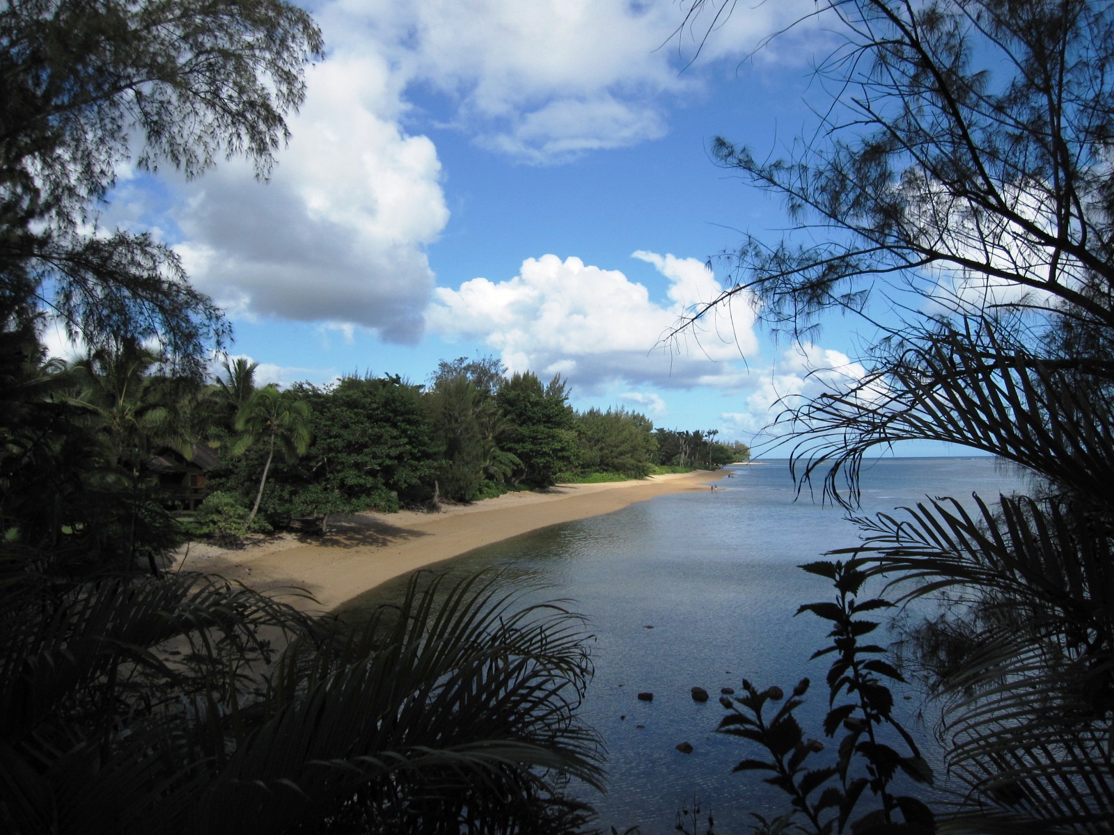 Kauai Real Estate For Sale Anini Beach