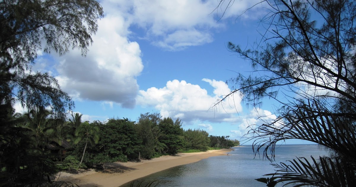 Kauai Real Estate For Sale Anini Beach