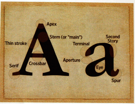 anatomy of text