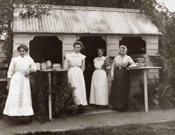 [orchard+1910.jpg]