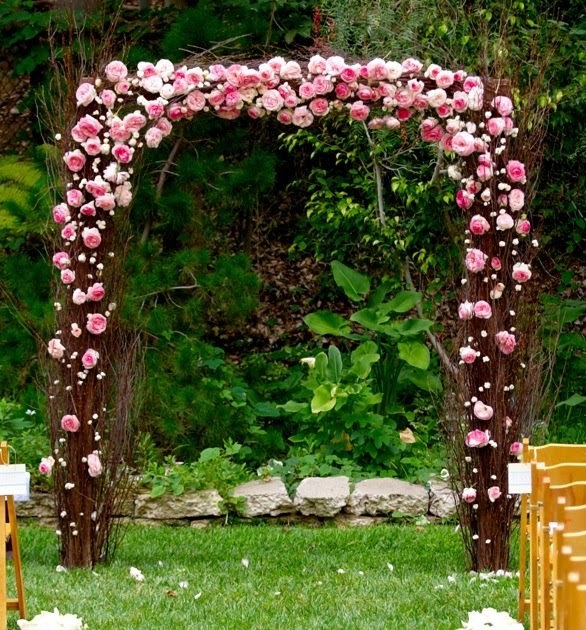 [The] Nettleton Hollow [Blog] Birch Wedding Arch