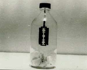 [traba+almandrade.bmp]