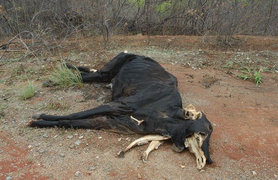 [image_media_horizontal.jpg]