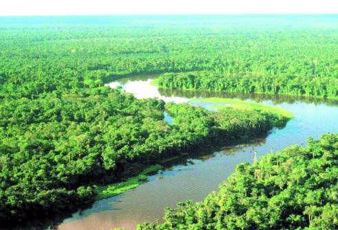 [AMAZONIA.bmp]