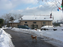 la mia casa toscana ed in primo piano Kiretta