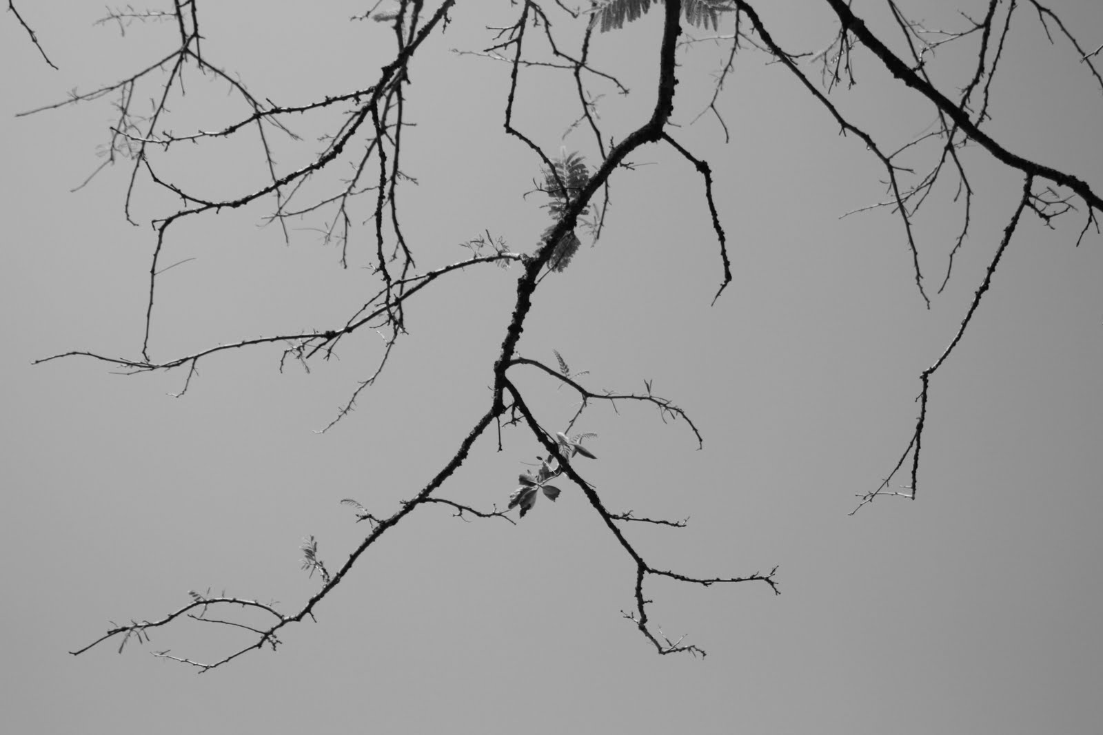 [IMG_3258.JPG]