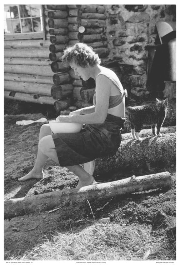 Fascinations more photos of Julia by Paul Child